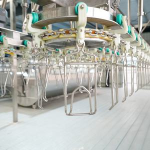 Diskon otomatis 3500 ayam angsa Per jam mesin penyembur bebek mesin penyembur unggas - Product Image 3