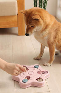 थोक कुत्ते पहेली खिलौने पालतू भोजन पहेली फीडर खिलौने IQ प्रशिक्षण के लिए - Product Image 6