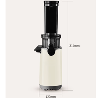 Elektrische slowjuicer-extractor Machine Hoog rendement roestvrij staal 300 ml capaciteit Vruchtensapmaker voor thuis commercieel gebruik