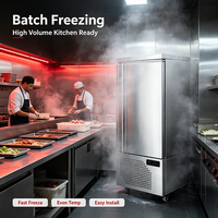 Congélateur automatique haute performance 15 plateaux vertical à refroidissement par air -40°C en acier inoxydable pour boulangerie, fruits de mer et cuisine centralisée