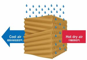 Kostengünstiger und Hochwertiger Automatischer Standluftkühler für Krankenhäuser mit 1 Jahr Garantie - Product Image 3