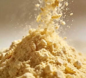 OEM 100% puur natuurlijk dennengroei-extract tabletten - Product Image 4