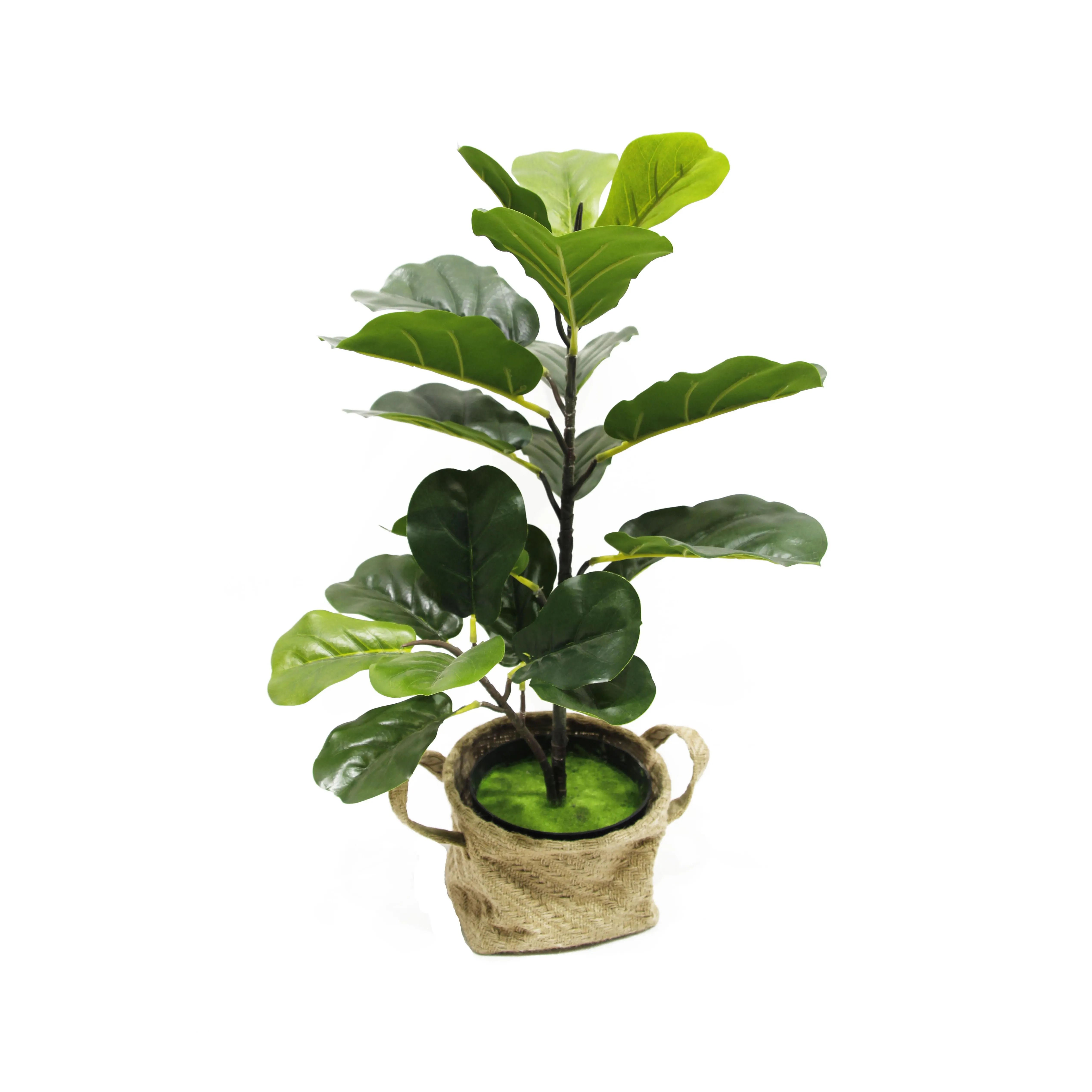 Vendas diretas de fábrica, plantas artificiais ficus frescas, folha, árvore para decoração de casa e jardim