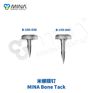 MNMINA <span class=keywords><strong>DENTAL</strong></span> MINA GBR sistema 1.0 alta qualità in acciaio inox/titanio/PTFE GBR Kit di fissaggio vite sistema di Tack per orale dentale - Product Image 2