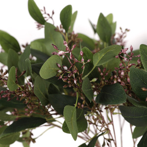 ZY0522 Feuillage artificiel en <span class=keywords><strong>soie</strong></span> avec graines, feuilles d'eucalyptus avec graines, feuilles d'eucalyptus artificielles avec fruits - Product Image 5