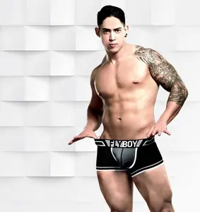 Tên Thương Hiệu Tùy Chỉnh Breathable Lưới Vải Người Đàn Ông Boxer Briefs Đồ Lót