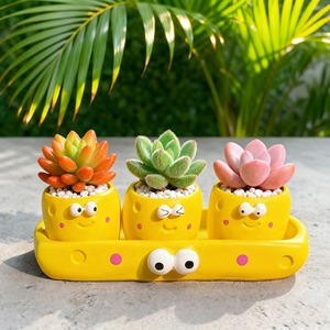 MSH Pots en résine pour micro-paysages, style dessin animé, pour fougères d'intérieur et plantes <span class=keywords><strong>vertes</strong></span> de bureau - Product Image 2