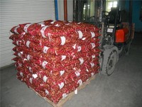 Nieuwe oogst Chinese zoete kastanjes, hoogwaardige snack, suikervrij, natuurlijk gepeld, gebakken kastanjekernen