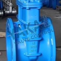 Válvula de Compuerta de Acero Inoxidable de Doble Disco Atornillada Eléctrica para Gas Natural con Vástago Ascendente de PTFE (OS&Y)