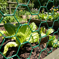Rouleau de grillage hexagonal galvanisé à chaud, grillage gabion, grillage pour volailles, clôture de jardin, construction agricole