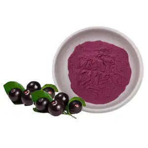 Acai berry polvere liofilizzata 99% FD polvere liofilizzata estratto di bacche di Acai polvere di bacche di Acai