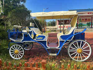 Chariot Citrouille Enchanté pour Événements Contes de Fées, Mariages, Fêtes d'Anniversaire, Décoration de Photobooth - Product Image 5