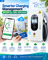 14kW CCS2 Wallbox charge rapide courant continu voiture électrique solaire stockage batterie onduleur APP réseau instable