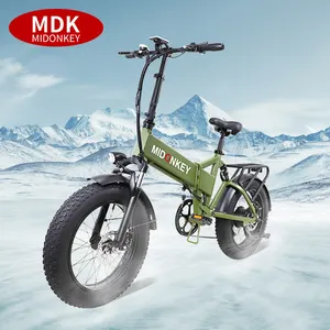 750W 48V Electric Bike 20" Fat Tire Folding Electric Bicycle 7 Speed Commute Mountain Beach Snow Ebike