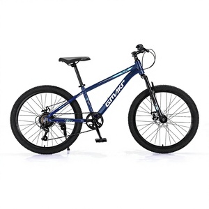 Bicicleta de Montaña Urbana con Cuadro de Aluminio, Palanca de Cambios RV100, Frenos de Disco Traseros de 7 Velocidades, Neumáticos de 2.35'', Horquilla de Suspensión de 42 mm, para Carreras - Product Image 1