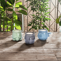 Pots de fleurs en porcelaine de luxe pour cactus Accessoires de jardin uniques personnalisés Jardinières succulentes mignonnes en gros