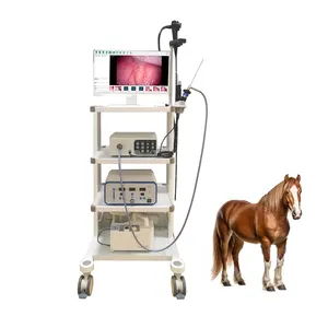 Precio de fábrica Cámara endoscópica USB portátil Veterinario Animal grande Video Endoscopio veterinario flexible para caballo