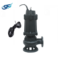 Pompe à eaux usées WQ 15 m³/h, hauteur de refoulement 9 m, 1,1 kW, monophasée 220 V, IP68, pour irrigation agricole et drainage, certifiée CE