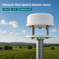 Capteur de vitesse et de direction du vent à ultrasons RS485, anémomètre pour station météo, ferme éolienne, surveillance environnementale