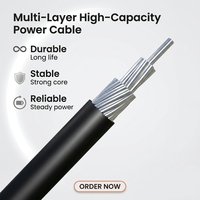 0,6/1KV Aluminium Einzel- oder 1-5-adriges 25mm 70mm 95mm² 185mm Luftbündelkabel ABC-Kabel Duplex-Service Oberirdische Stromversorgungsleitung