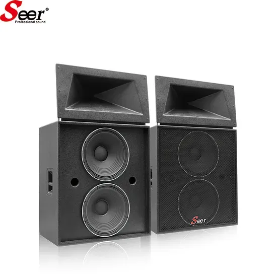 Dual 15-Inch Professional Audio Wall Mount Speaker System with Warranty Made in China