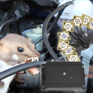 3 trong 1 chuột chặn 12V điện áp cao siêu âm chuột và động vật gặm nhấm răn đe cho xe Mart Chuột <span class=keywords><strong>Repeller</strong></span> trong nhà - Product Image 2