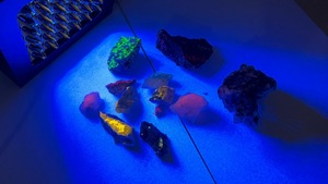 36 Watt 254nm <span class=keywords><strong>UV</strong></span> LED ánh sáng Calcite huỳnh quang khoáng chất phosphor đá quý <span class=keywords><strong>Detector</strong></span> sóng ngắn tia cực tím LED Đèn - Product Image 6