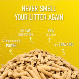 Litière pour chats en granulés de bois de pin naturel en vrac, sans poussière, matériau durable pour chats - Product Image 2