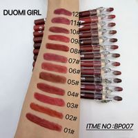 Ensemble de 12 crayons à lèvres mats imperméables longue tenue avec taille-crayon, stylo de maquillage lissant pour le contour des lèvres pour femmes