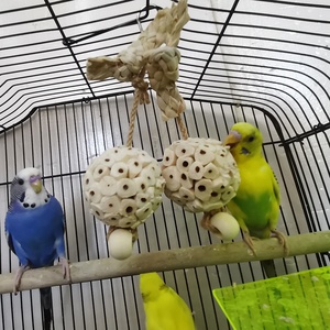 Venta caliente Bola de hierba doble Color Natural maíz trenza cuentas pájaro juguete para loros Original mascota movimiento interactivo juguete - Product Image 3