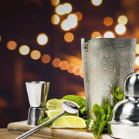 Kit de barman à domicile en acier inoxydable 16 pièces, seau à glace, tire-bouchon, accessoires de bar, ensemble de mixologie pour cocktails, idéal pour un cadeau