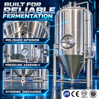 Fermenteur en acier inoxydable à haute performance pour la brasserie et la fermentation des boissons