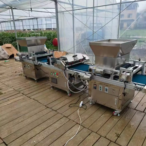 Tự động cắm khay Cây Giống dây chuyền sản xuất bắp cải hạt giống trồng Máy khay seeder dòng cho rau Hạt giống hoa - Product Image 5