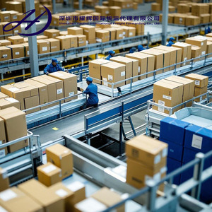 चीन से जाम्बिया के कैमरॉन सेनेगल के लिए अंतर्राष्ट्रीय एयर फ्रेट शिपिंग एजेंट - Product Image 6