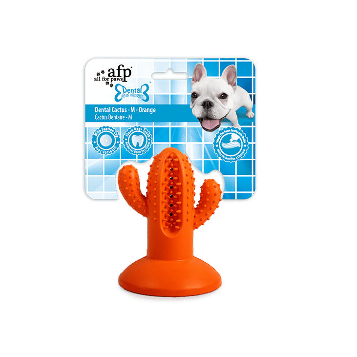 Cactus moyen caoutchouc orange