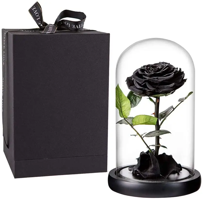 Wholesale Flor Eterna Preservada Glass Dome Black Single Preserved Beast Rose with flower long stem