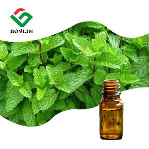 Private Label масло мяты перечной чистого натурального эфирного масла мяты перечной - Product Image 2
