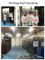 Machine de séchage au four pour fruits, pollen d'abeille, graines, chips de manioc, œufs et légumes
