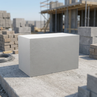 Blocs EPS Construction Blocs de polystyrène expansé Isolation Panneau XPS Blocs de mousse EPS