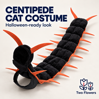 Costume de chat centipède d'Halloween noir et orange en peluche pour enfant avec capuche pour fêtes cosplay et accessoires photo en extérieur