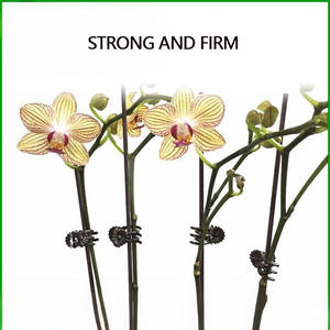 20-Pack Dual-Color Galvanized Steel Durable Orchid <b>Clips</b>-Versatile Plant Fixing <b>Clips</b> for <b>Greenhouse</b> Garden - Product Image 5