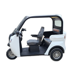 Triciclo Eléctrico Abierto de Moda EV-06 1000W, Modelo de Conducción Cómodo, Preferido por Clientes Extranjeros - Product Image 2