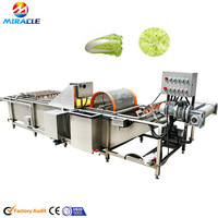Machine de nettoyage industrielle à vortex en acier inoxydable pour légumes, turbine de lavage de légumes pour épinards et céleri