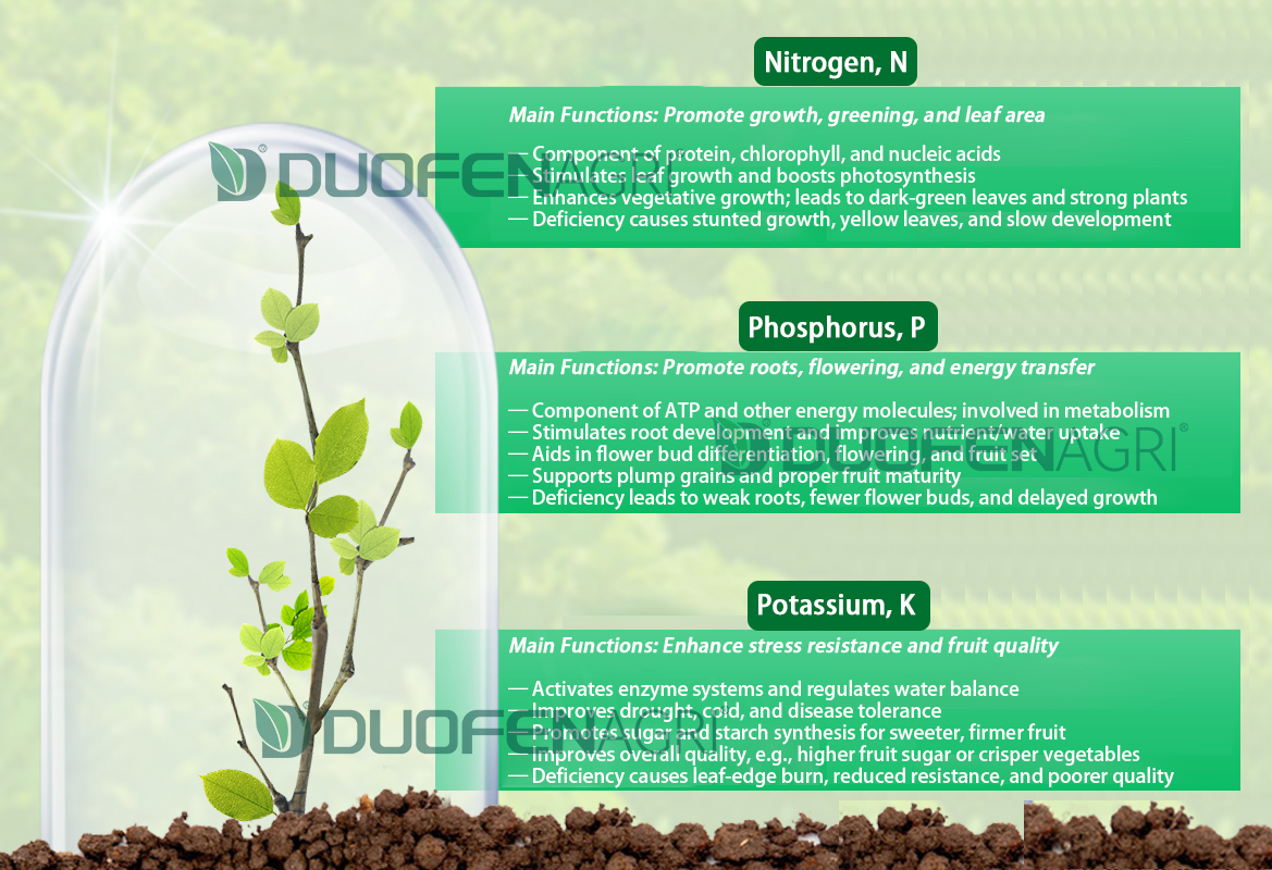 Wholesale NPK 30-10-10+TE Water Soluble Fertilizer Powder image 3