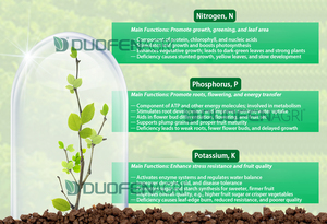 310590 Augmenter la vitesse de croissance des cultures Npk 30 :10:10 Riche en oligo-éléments 100% soluble dans l'eau <span class=keywords><strong>Engrais</strong></span> vert à haute teneur en azote - Product Image 3