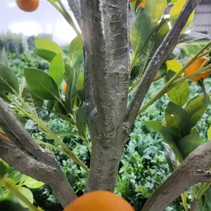 ASGメーカー手作り1.6ft-5ftミニ柑橘類果樹人工マンダリンオレンジ盆栽
