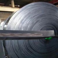 Banda Transportadora para Minería Thinkroll OEM, Resistente a Altas Temperaturas, al Fuego, al Aceite, al Frío y al Desgaste