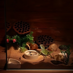 Cuencos Modernos de Cerámica Sólida Estériles para Lagartos, Escondite/Cueva que Evita la Fuga de Alimentos Vivos y Gusanos de la Harina, Protegiendo a los Reptiles y Respetando el Medio Ambiente - Product Image 3