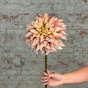 FONG IAN - Flores de Dalia Artificiales de Tacto Real de 62 cm, Flores de Seda Hechas a Mano, Flores Artificiales Realistas de una Sola Cabeza, Decoración para el Hogar - Product Image 3