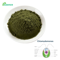 Poudre de protéines végétales de haute qualité, poudre de Chlamydomonas Reinhardtii ≥30%, poudre de Chlamydomonas Reinhardtii